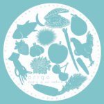 develop [e-Origo] Origo ≠ bistoyo